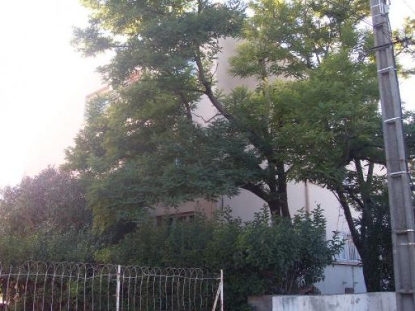 Photos de Appartement à La Seyne-Sur-Mer (83500) 