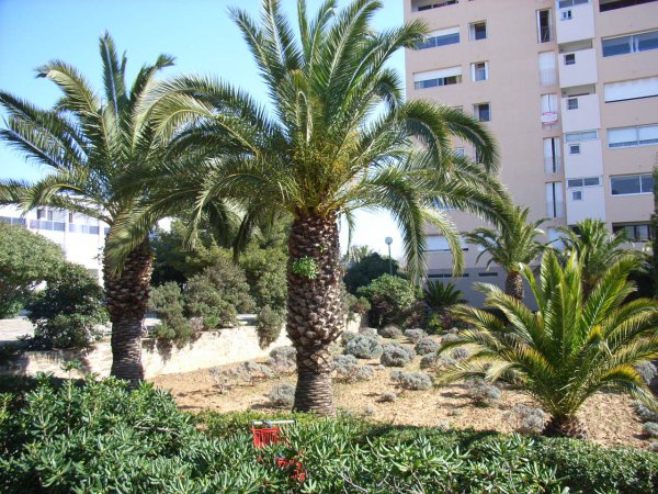 Photos de Appartement à Hyères (83400) 
