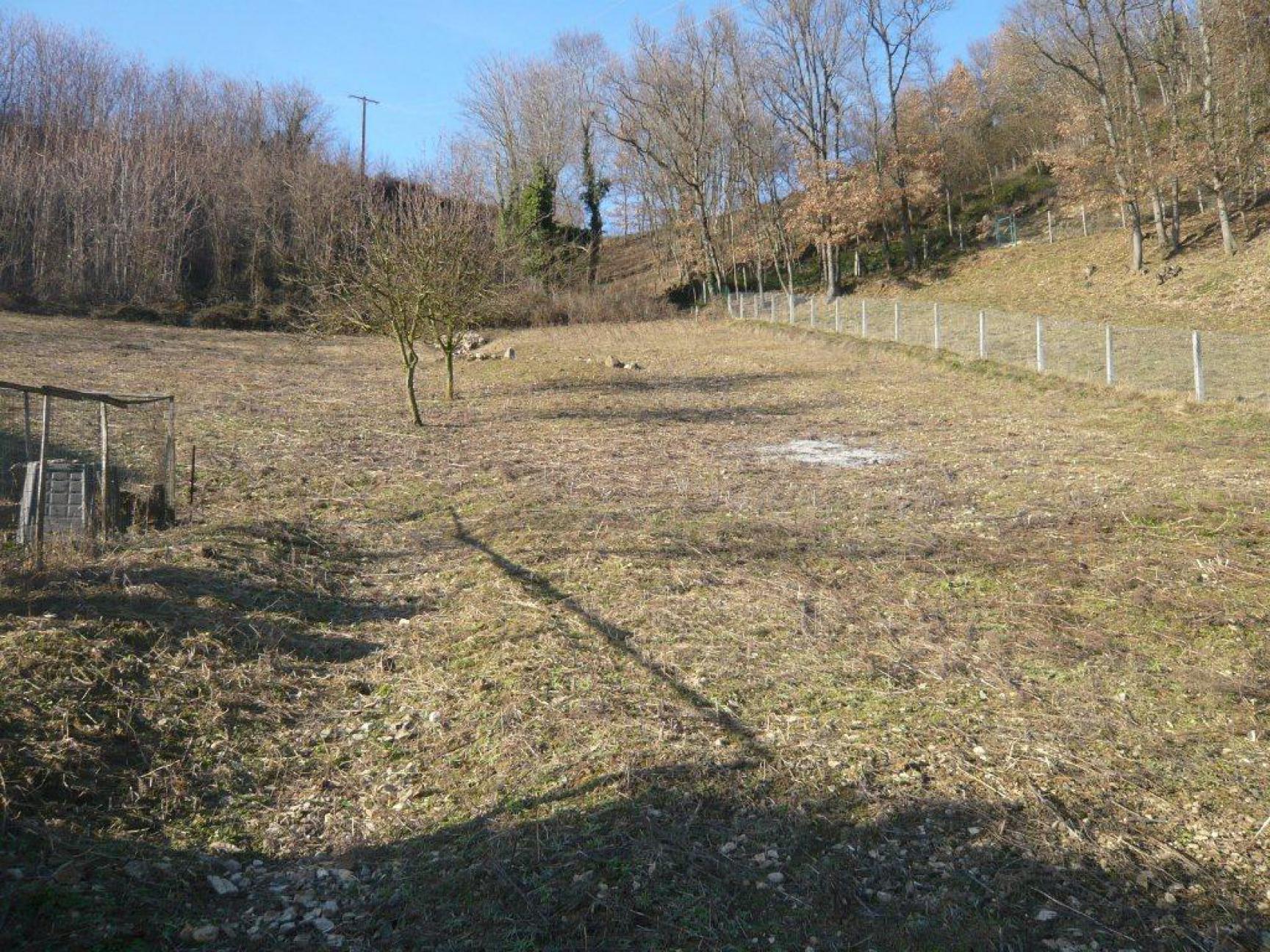 photo principale