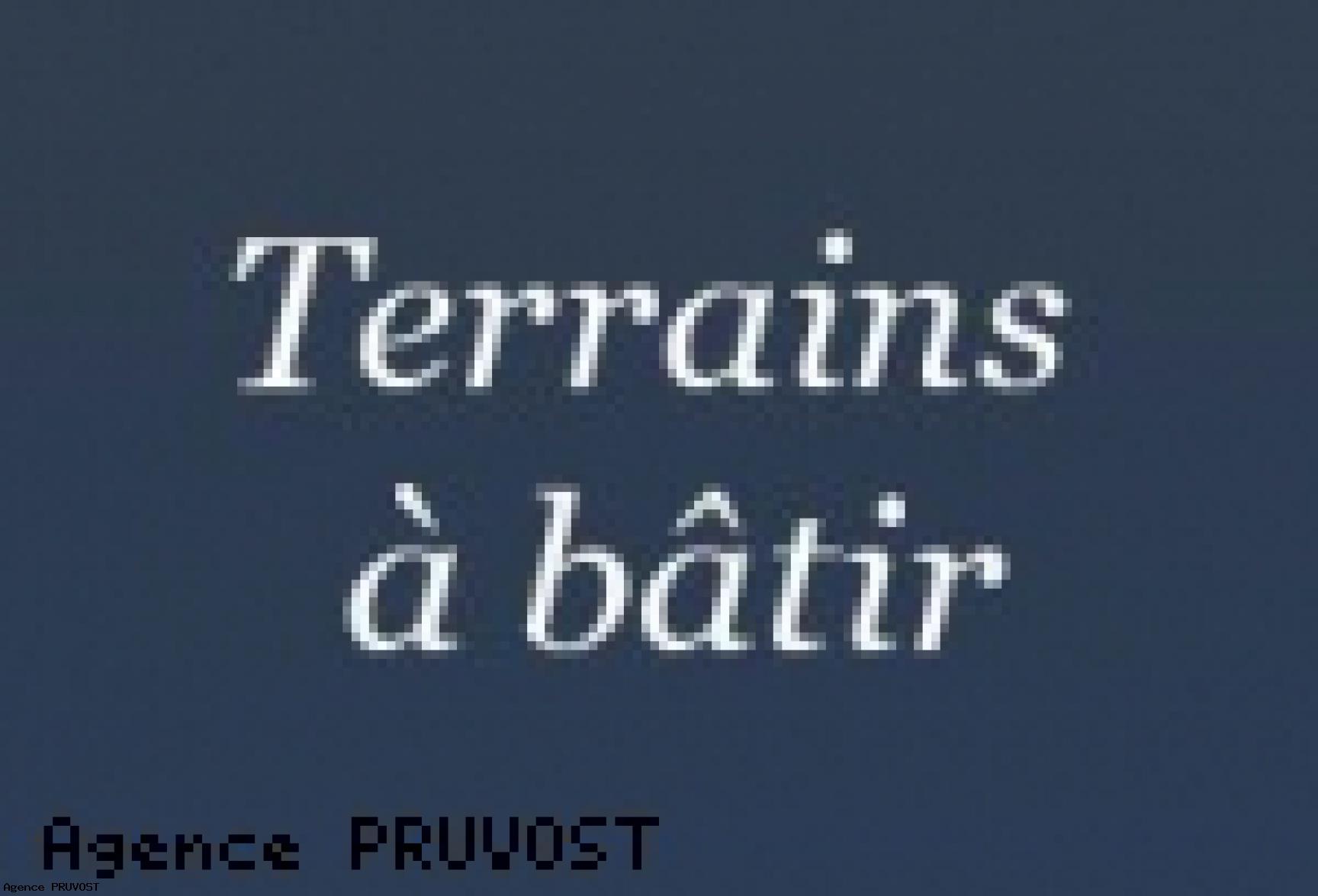 photo principale