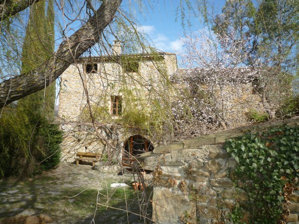  ,245m&sup2;   (environ)    R&eacute;f :
                                    5511 