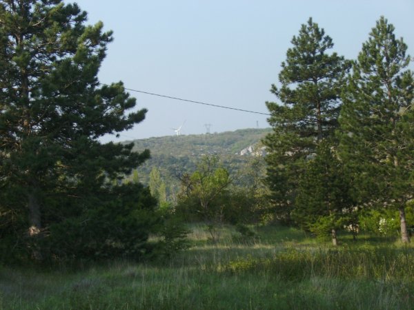  ,1843m&sup2;   (environ)    R&eacute;f :
                                    5546 