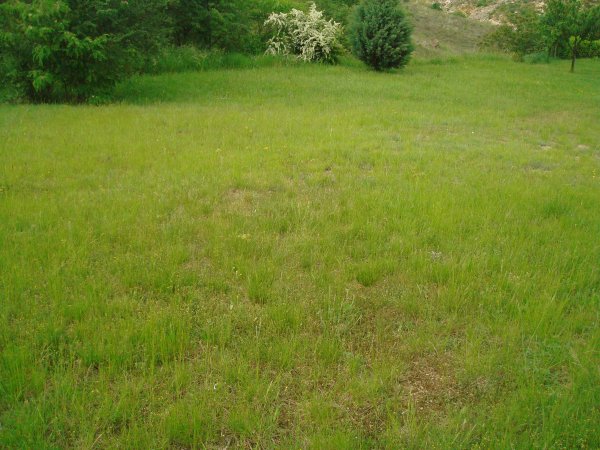  ,1200m&sup2;   (environ)    R&eacute;f :
                                    5571 