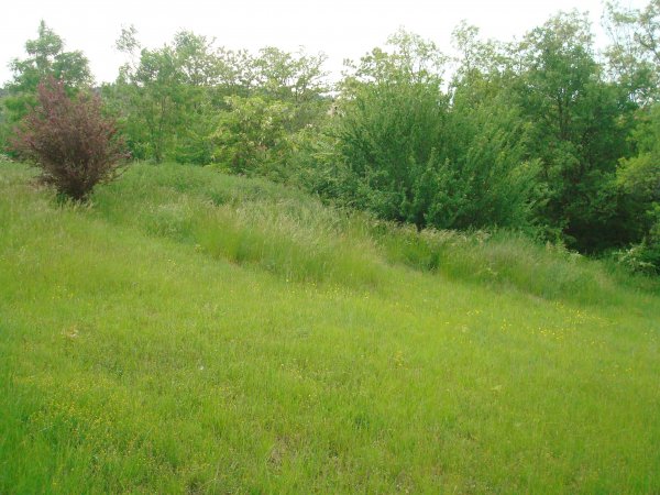  ,1200m&sup2;   (environ)    R&eacute;f :
                                    5572 
