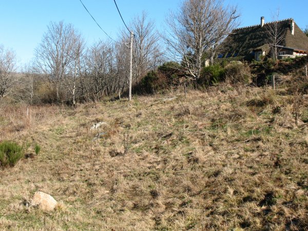 Bien immobilier: Terrains