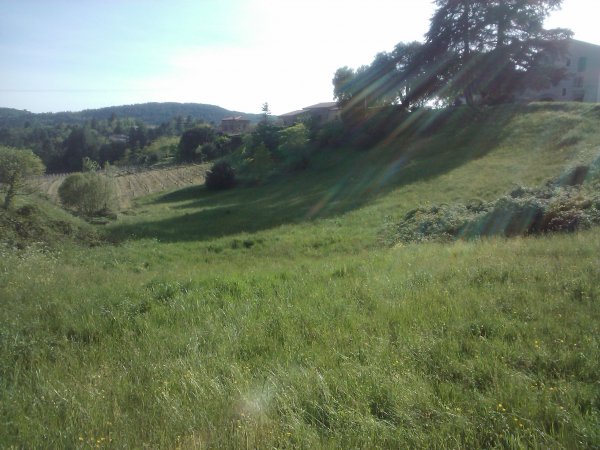 Bien immobilier: Terrains